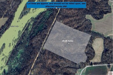 000 County Road 1320 unit BETWEEN COUNTY ROADS, Bardwell, KY 42023 - photo 3