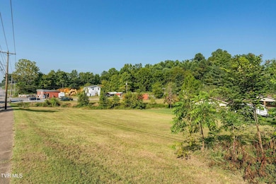 616 W Main St, Jonesborough, TN 37659 - photo 6