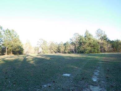 944 Conway McDonald Rd, Tarrytown, GA 30470 - photo 4