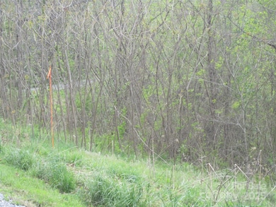 000 Signature Row Lot #17 Blvd unit 17, Waynesville, NC 28785 - photo 7