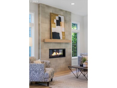 Fireplace Gas