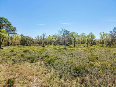 TBD Parente Place, Keaton Beach, FL 32348 - photo 7