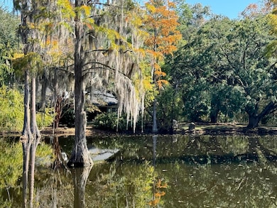 4446 Char-Augusta Rd, Bamberg, SC 29003 - photo 2