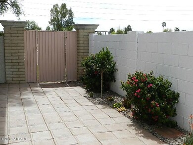 7BACKYARD
