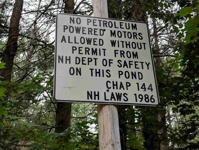 0 Goddard unit 2 4764651, Groton, NH 03241 - photo 7