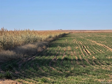 0 Cr K, Haswell, CO 81045 - photo 3