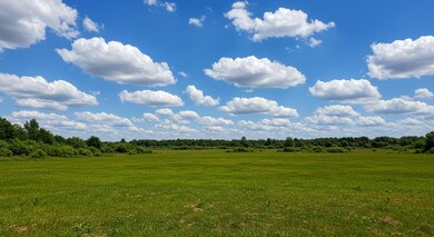 0 County Road 4761 unit 24428122, Sulphur Springs, TX 75482 - photo 4