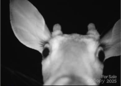 V/L Pinnacle Church Rd, Nebo, NC 28761 - photo 3