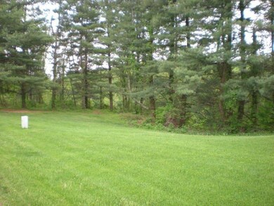 Side Lot & Trees