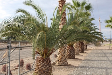 150214 Blue Water Rd, Big River, CA 92242 - photo 4