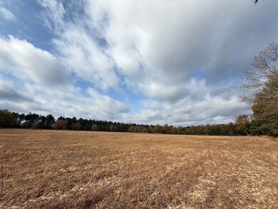 Sc Hwy 39 unit LotWP002, Williston, SC 29853 - photo 3