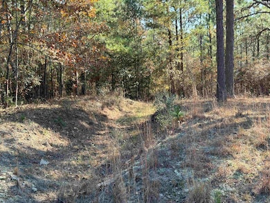 1031 Oakland Dr, Camden, SC 29020 - photo 2