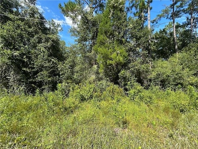 0 Liatrus Ln unit 7644990, Seminole, AL 36574 - photo 6