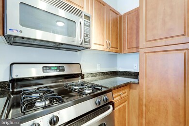 12909 Centre Park Cir unit 406, Oak Hill, VA 20171 - photo 7