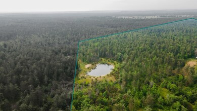 6612 Old Vanderbilt Rd, Vanderbilt, MI 49795 - photo 7