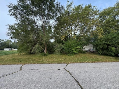 307 Cottage St, Pilot Mound, IA 50223 - photo 5