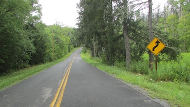 676 Keyserkill Rd, Middleburgh, NY 12122 - photo 6