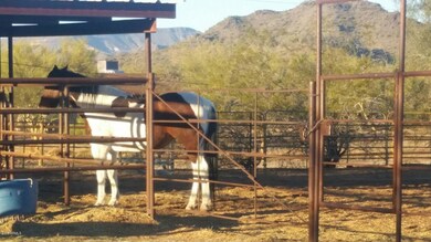 Horse Facilities