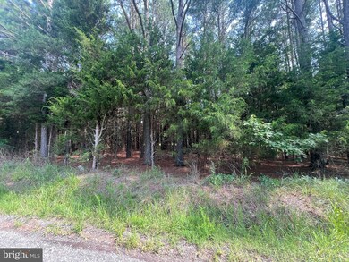 0 Tidewater Trail unit VAES2000690, Center Cross, VA 22437 - photo 3