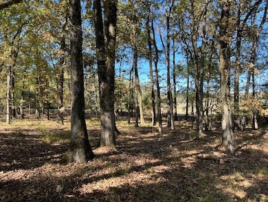 197 Deer Valley Cir, Broken Bow, OK 74278 - photo 3