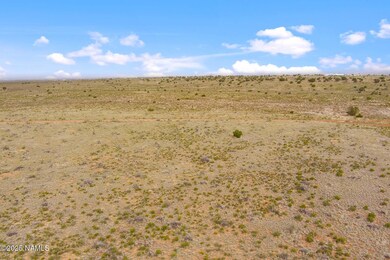 728 E Pine Rd, Valle, AZ 86046 - photo 5