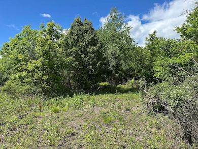 Field