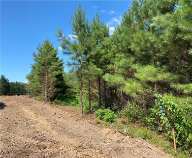 74 Ruts Pines Loop, Broken Bow, OK 74728 - photo 5