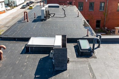 57 Kelly Rd, Cambridge, MA 02139 - photo 6