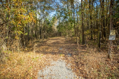 0 Mississippi 389, Pheba, MS 39755 - photo 2