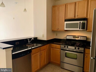 Halstead at The Metro unit 318, Fairfax, VA 22031 - photo 4