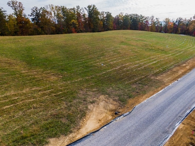Lot 32 Spring Branch Hollow Rd, Nancy, KY 42544 - photo 2