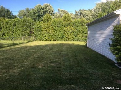 Backyard.