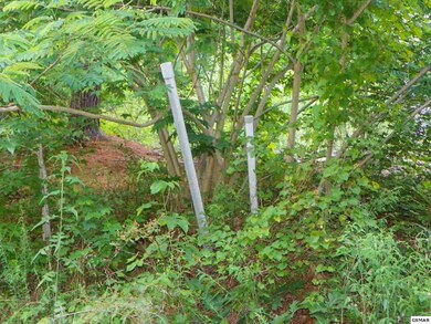 Additional View 7