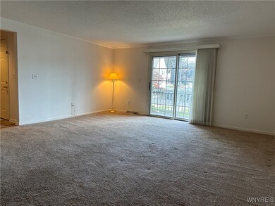 Large Living Room exits with Sliding Doors to Open