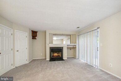 13420 Burrough Farm Dr, Herndon, VA 20171 - photo 2