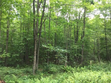 112 Acres 11th Ave, Chetek, WI 54728 - photo 3