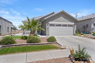 3-web-or-mls-_DSC5289