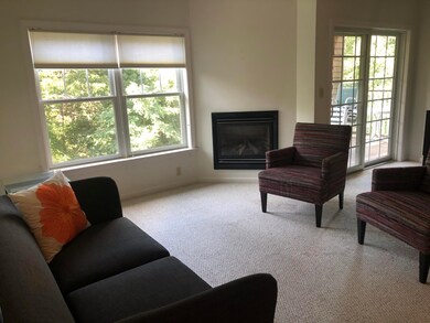 Living Room w fireplace