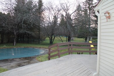Pool and yard