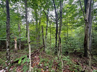 1.1 Farr Rd unit 1, Ohio, NY 13324 - photo 6