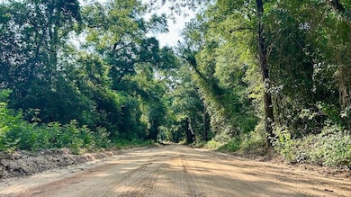 0 Alred Rd unit LotWP001 24166422, Westville, FL 32464 - photo 4