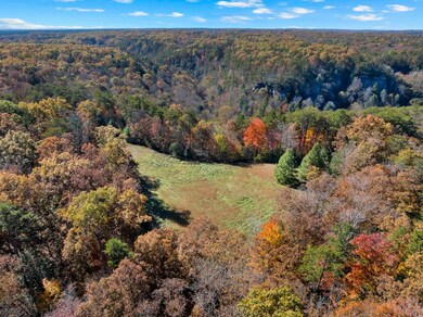 12970 Sr-56, Altamont, TN 37301 - photo 7