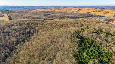 DJI_20241203090843_0352_D