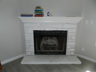 173 Fair Haven Ln, Springtown, TX 76082 - photo 5