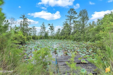 140 Elm Way, Panama City, FL 32404 - photo 5