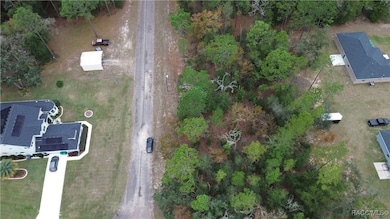 9700 N Langdon Rd, Citrus Springs, FL 34434 - photo 5