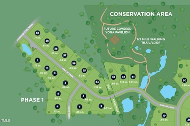 236 Emelia Ln, Fearrington, NC 27312 - photo 7