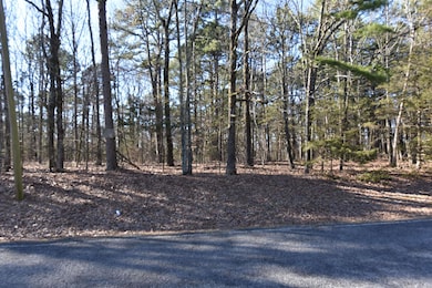 Lot 30 block 12 Haverhill Rd, Shirley, AR 72088 - photo 4