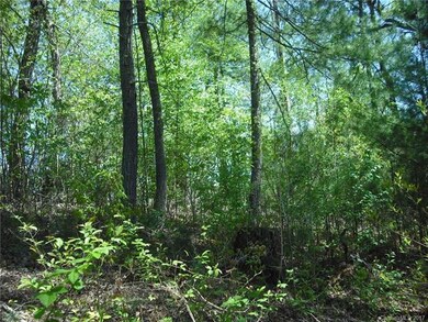 5 Hunting Ridge unit LOT 11, Leicester, NC 28748 - photo 7