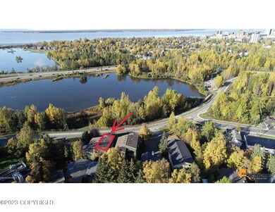 Aerial View - Spenard